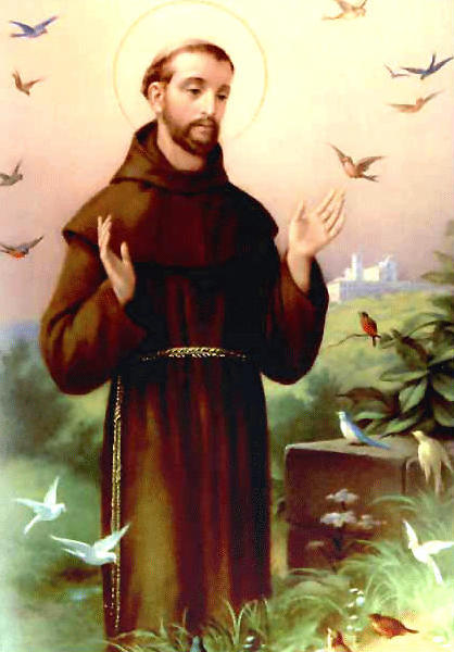 St-Francis brown